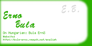 erno bula business card
