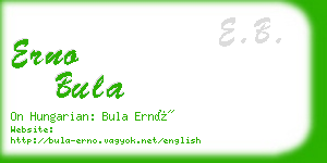 erno bula business card